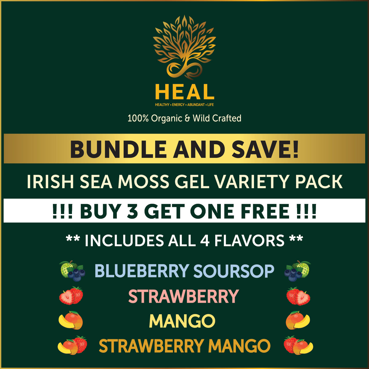 Buy 3 Get 1 Free Irish Sea Moss Gel 16oz Variety Pack