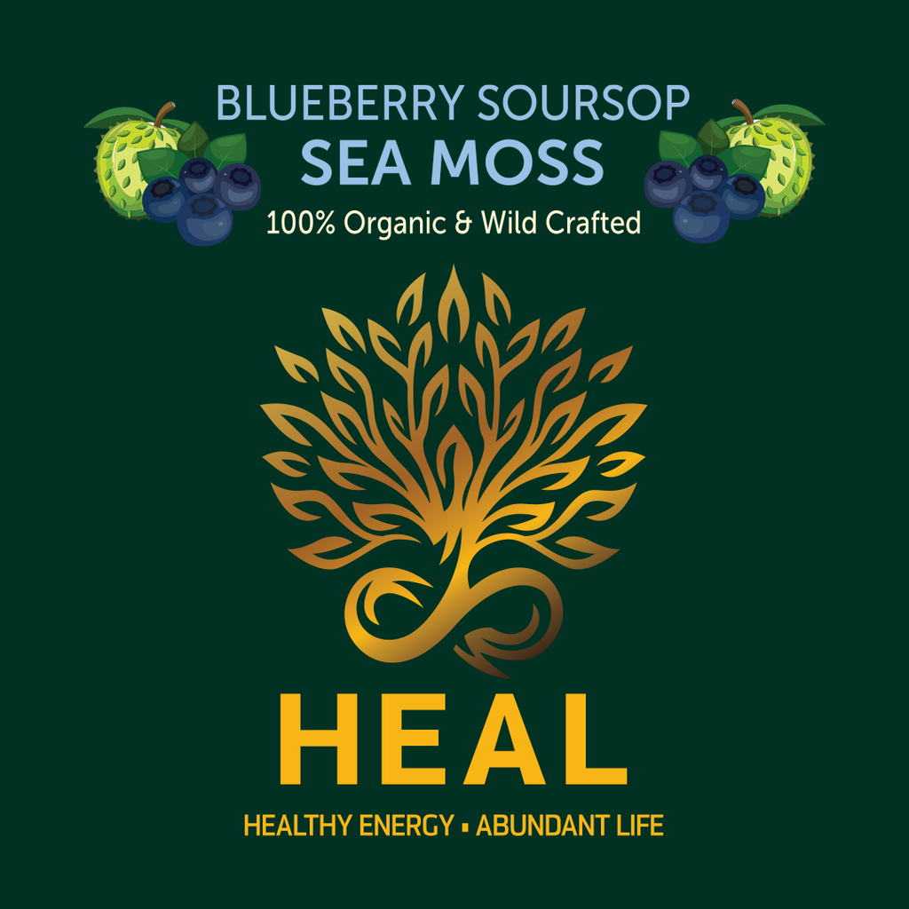 Blueberry Soursop Irish Sea Moss Gel 16oz